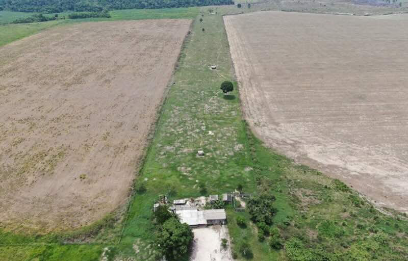 MPF processa fazendeiros de Rondônia por agrotóxicos contra indígenas Puruborá