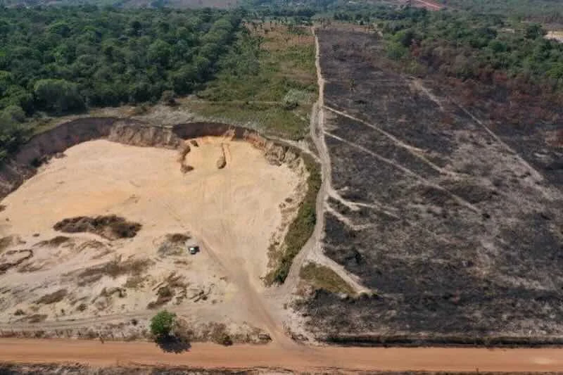 MPF pede R$ 5,4 milhões por extração ilegal em Gleba Federal no RO