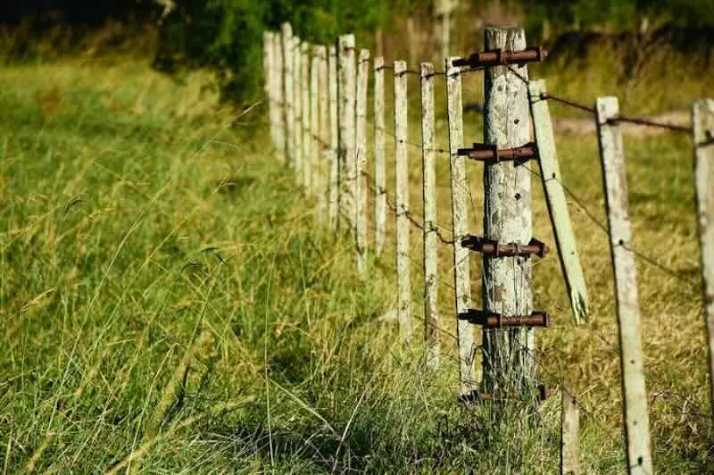 Justiça anula venda ilegal em assentamento RO