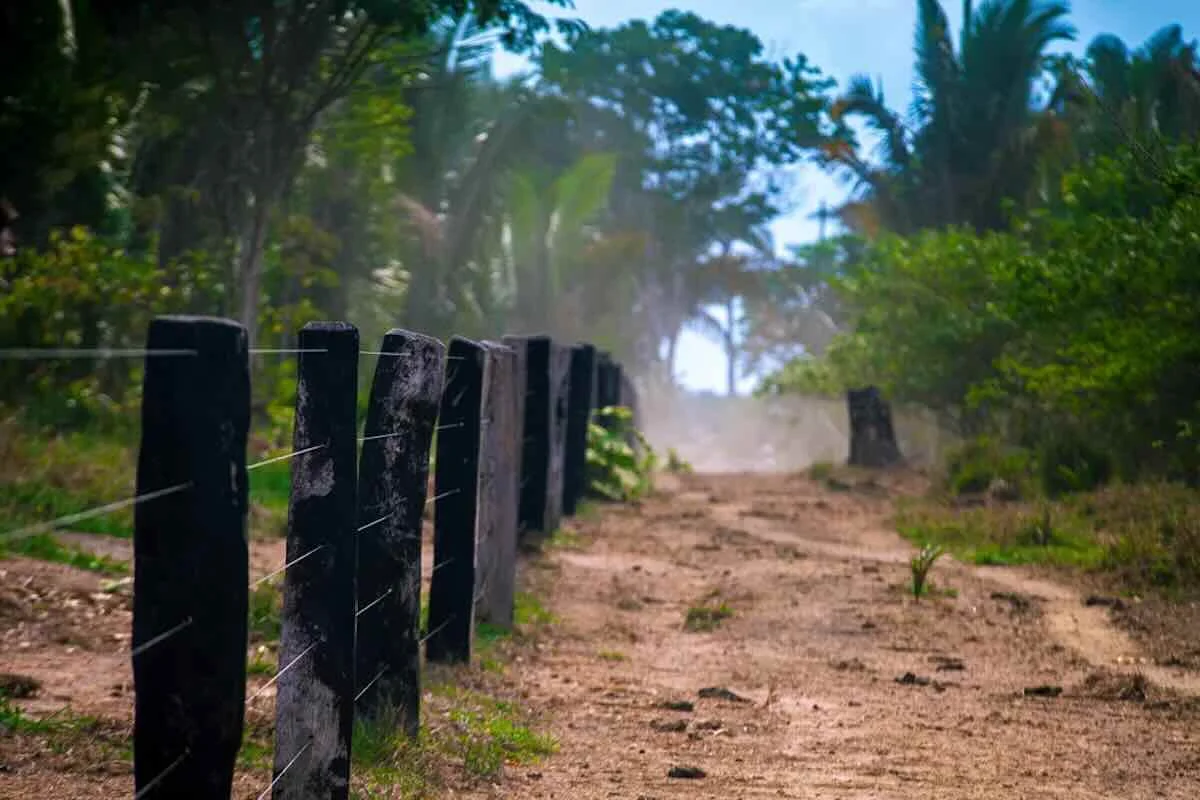 Ex-delegado de Rondônia é condenado a 45 anos por homicídio