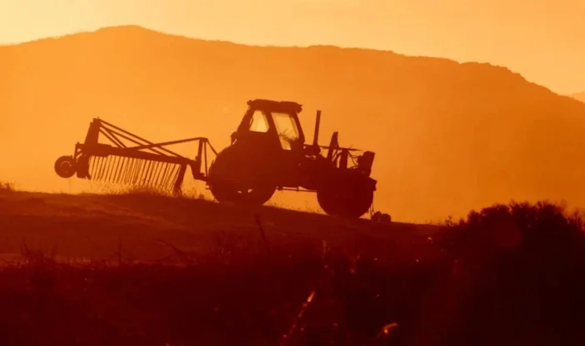 Brasil supera EUA em exportação agrícola após tarifas de Trump