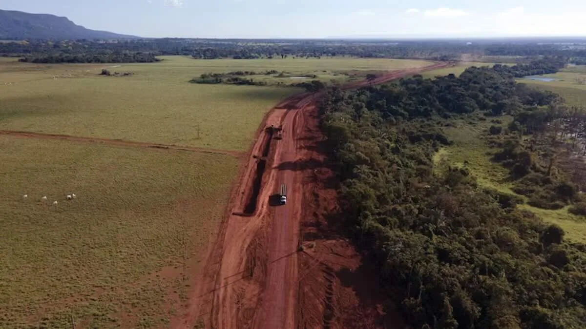 Como a crise boliviana e terras baratas atraíram o agronegócio brasileiro para a Amazônia