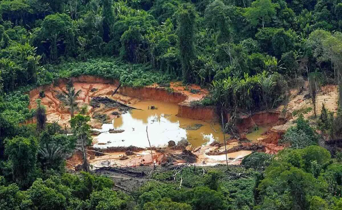 Diamantes de sangue: MPF denuncia líder de garimpo em RO