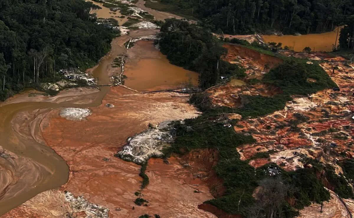 "Narcogarimpo": o avanço do crime organizado no ouro ilegal da Amazônia