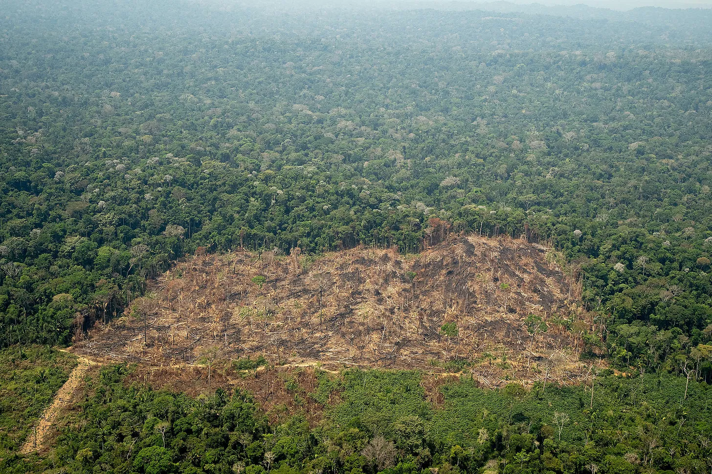 Violência contra povos indígenas em Rondônia: ameaças, terra e o preço da resistência